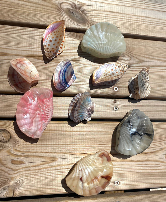 Pinces à cheveux SALTY MY ACCESSORIES